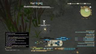 Final Fantasy XIV  Fisher L68 Quest  Catching Dafangshi HQ [upl. by Egamlat426]