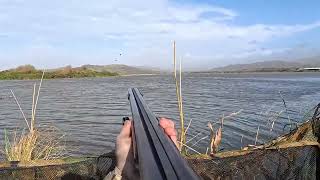 Storm Flight on Wigeon  Kayak was needed  Wildfowling [upl. by Ijneb652]