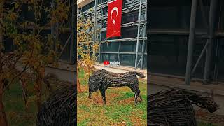 Sanat Eserleri bursa keşfet djimini4pro video youtube [upl. by Brawner647]