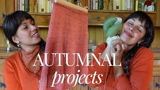 My wild knitting podcast  Ep 36  Autumn projects [upl. by Onirefes994]