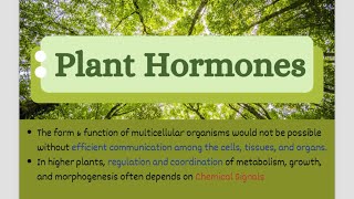 Let’s learn about Plant Hormones Phytohormones  CSIR NET2024 PlantHormones Jrf Botany [upl. by Blanka730]