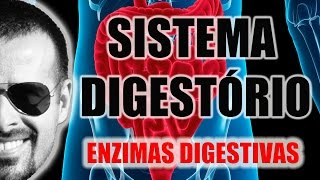 Sistema Digestório  Enzimas digestivas e processos químicos da digestão  Anatomia  VideoAula 026 [upl. by Ylrae]