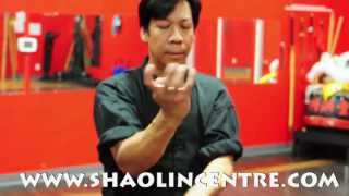 Shaolin Tiger Kung Fu Centre  Kung Fu Classes [upl. by Hanae]