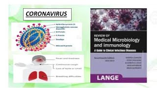 Microbiology  corona virus microbiology virus corona [upl. by Aneev]