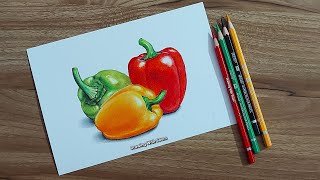 Realistic Capsicum Drawing  Brustro Colour Pencil Drawing  Drawing With Soum [upl. by Bambie595]