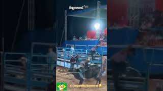 🔵Rodeio o esporte que mais cresce no Tocantins🐃🐂🐃🐂roça rodeiogado boiada vaqueiro [upl. by Yrot]