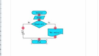 Diagramas de flujo La bifurcación condicional [upl. by Darrell]