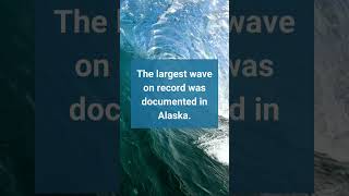 Fast Facts The Largest Wave facts oceans oceanwaves earthscience naturalphenomena [upl. by Ivana46]