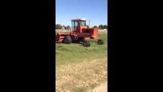 Cutting Hay 2013 5000 International Windrower swather [upl. by Einnoj662]