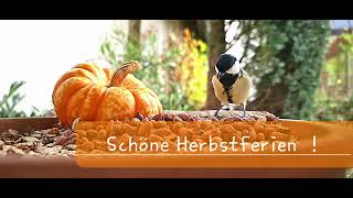 Schöne Herbstferien [upl. by Charmane675]