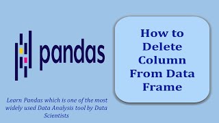 How to Delete a Column from Data Frame  Data Frame  Pandas  Pandas Tutorial [upl. by Mirabelle]