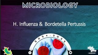 L2 Bordetella pertussis H influenza Vincet angina Microbiology [upl. by Plato]