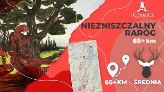 UltraBies Biegi Górskie  NIEZNISZCZALNY RARÓG  65 km [upl. by Ialokin]