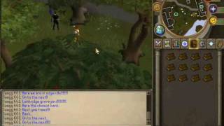 RuneScape  All The Yew Tree Locations F2P [upl. by Ahsilad]