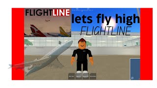 flight linetrying to land [upl. by Annayr]