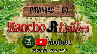 RANCHO JR LEILÕES  PIRANHAS GOIAS 02102024 [upl. by Secnarf]