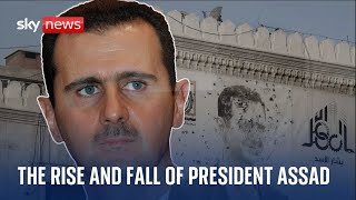 From eye doctor to dictator  the rise and fall of Assads presidency [upl. by Meensat]