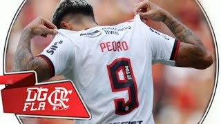 Pedro Pedro 🎵 Música Funk Nova do Pedro  Camisa Nova 9 do Flamengo MC Nau [upl. by Lexa]