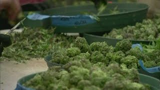 Indiana lawmakers discuss medical marijuana [upl. by Ruomyes]