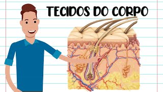 TECIDOS DO CORPO HUMANO  RESUMO [upl. by Grosberg]