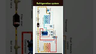 Refrigeration system full working refrigeration refrigeratorairconditioning refrigerationsystem [upl. by Glynda646]