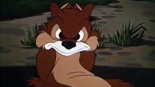 Chipn Dale Best Cartoons Full Episodes Playlist 80 Minutes [upl. by Elita578]