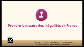 SES cours de Tle  prendre la mesure des inégalités en France [upl. by Yssis]