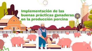 Curso Implementación de Buenas Prácticas Ganaderas BPG en la producción porcina [upl. by Aid]