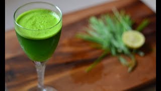 Wheat Grass Juice  Healthy Detoxifying Recipe  Gurus Cooking [upl. by Suhpesoj]