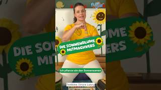 🌻Sonnenblume🌻 Mitmachvers  Kids 🌻Kita🌻Grundschule flohimohrtv [upl. by Townie]