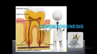 CEMENTOGENESIS SIMPLE LECTURE [upl. by Vickey981]