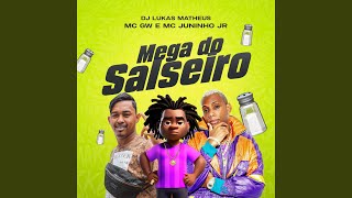 Mega do Salseiro [upl. by Doro]