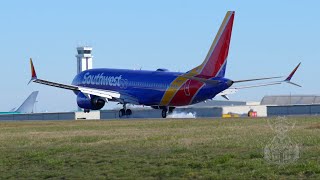 Southwest 737 MAX 8 Touch And Go At Paine Field [upl. by Stent78]