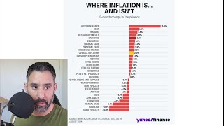 Reviewing Inflation August 2024 [upl. by Jaquiss]