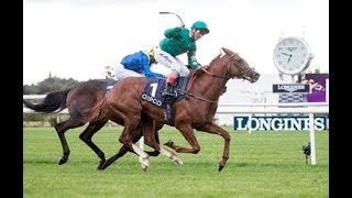 Longines Irish Champions Weekend Day 1  Leopardstown Racecourse [upl. by Eleda257]