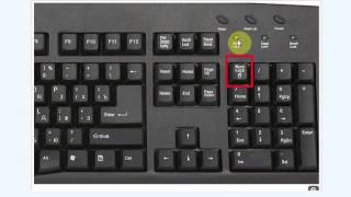 How to Turn on the Numeric Pad  Computer Skills amp Functions [upl. by Firman234]