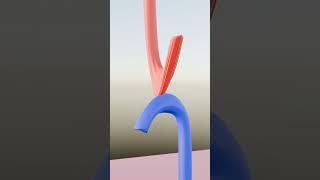 Puffs Soft Body Physics Animation Make in Blender [upl. by Barbara]