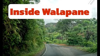 Breathtaking WALAPANE  වලපනේ  SRI LANKA visitsrilanka [upl. by Hilde]