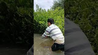 Crab fishing shortvideo  shortvideo 🦀 [upl. by Silliw]