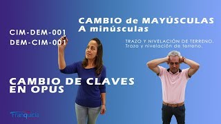 Cambiar Claves y descripciones mayúsculas y minúsculas en OPUS Arq Everardo López [upl. by Peskoff]