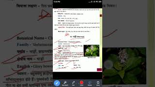 भारंगी Bharangi  Clerodendrum Serratum Plant Lecture In Hindi  रस गुण वीर्य  द्रव्य गुण  iad [upl. by Enitsenre]