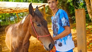 INVADI O PIQUETI DO CAVALO MISTERIOSO  O dono quis roubar o meu lugar [upl. by Lleunamme]