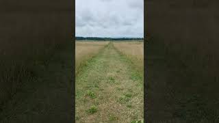 July 24 2024 Picketts Charge walk [upl. by Ledif]