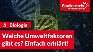 Welche Umweltfaktoren gibt es Einfach erklärt  Biologie verstehen mit dem Studienkreis [upl. by Shirah737]