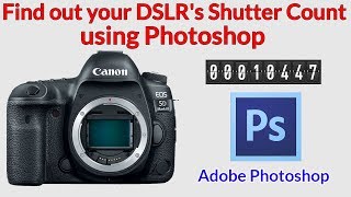 How to Check a DSLRs Shutter Count using Photoshop Works for Nikon Canon Pentax Samsung etc [upl. by Dewees]