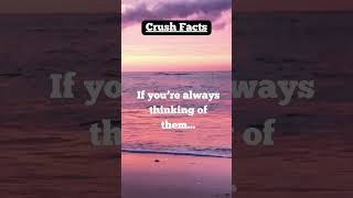 Surprising Crush Facts Psychology Behind Attraction amp Love Explained [upl. by Tombaugh]