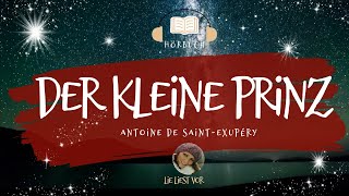 Der kleine Prinz komplettes Hörbuch zum Einschlafen und Träumen Antoine de SaintExupéry [upl. by Edla859]