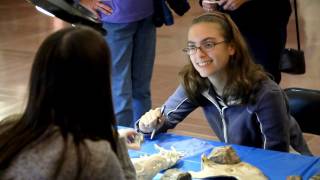 Identification Day The mysteries of fossils rocks and artifacts [upl. by Koss]