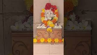 ganeshganpatiaartisongfunnybappastatusganpatibappamoryaganeshchaturthibabyagarbattitik [upl. by Ekud]