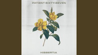 Hibbertia [upl. by Ellmyer621]